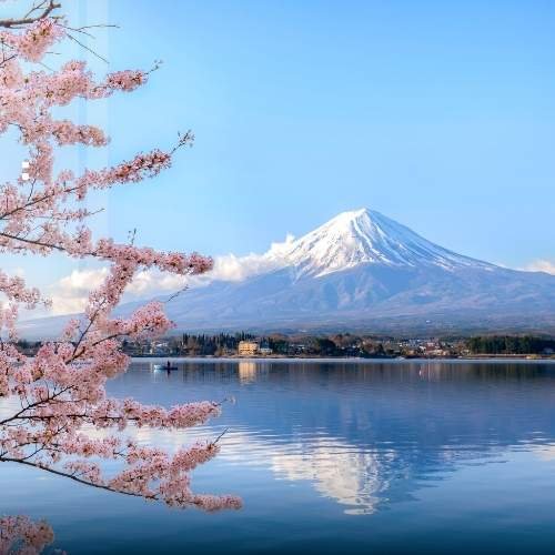 Top 10 Reasons to Learn Japanese in 2025